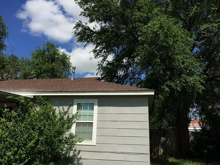 Great trees, huge backyard