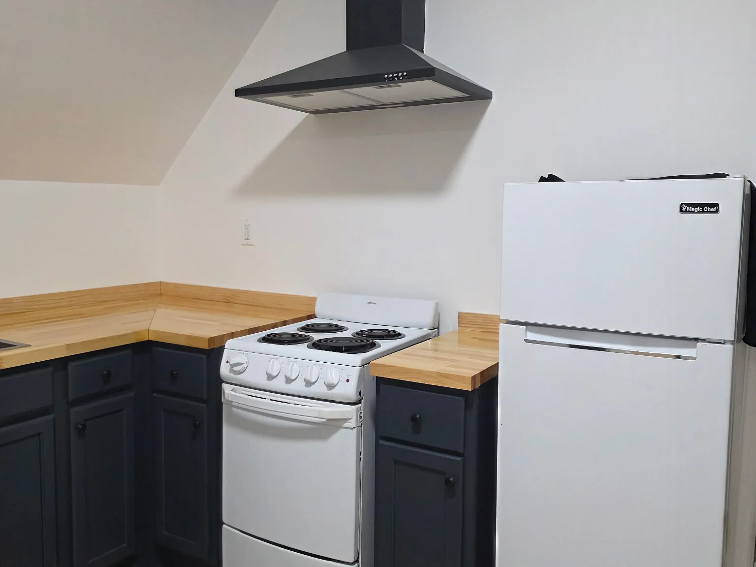 1 bed, 505 sqft, $1,000 — Photo 3