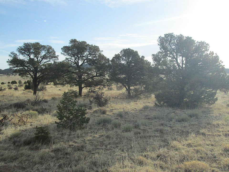 175 Black Hills Dr Walsenburg, CO, 81089 Apartments for Rent Zillow