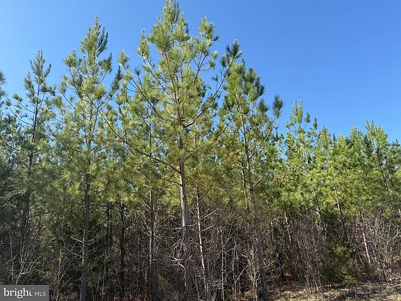 4th image of 3A Maple Bridge Rd