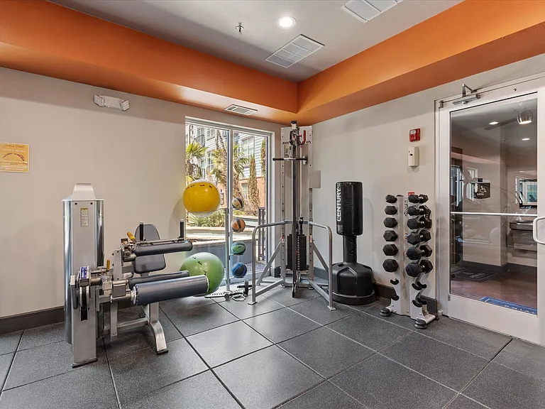 Ambrose — Photo 9