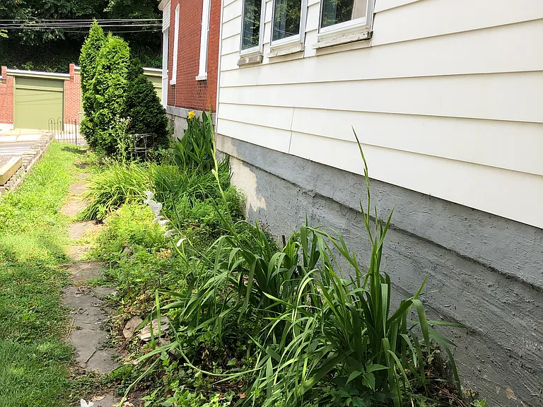 247 Green Ln — Photo 19