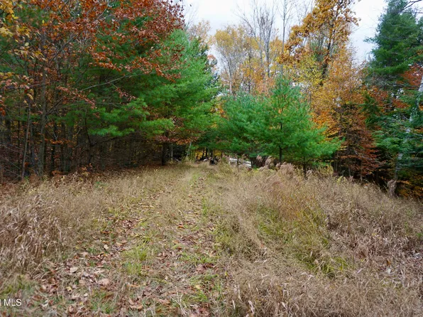 75 Carey Road, Day, NY 12835