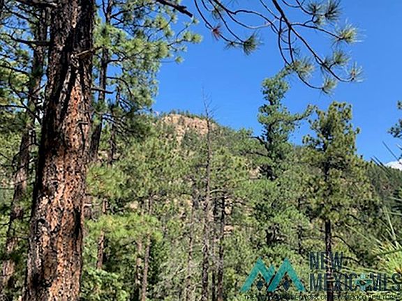 2nd image of 198 Trumble Canyon Rd