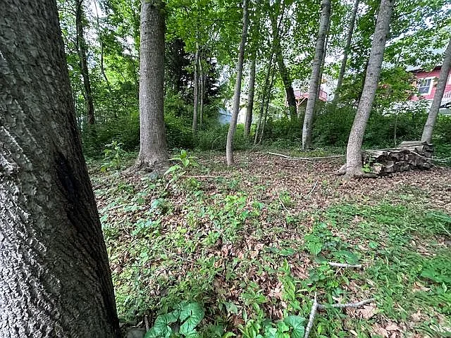 45 Florida Ave — Photo 10