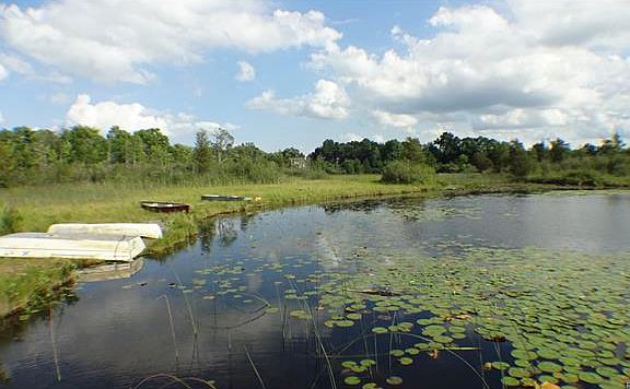 Hillside Lake