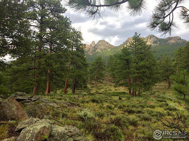 1st image of 1790 Wind River Trl