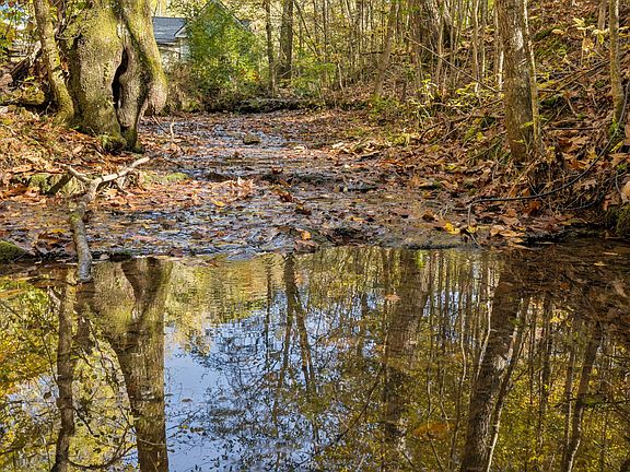 2nd image of 7489 Shoals Branch Rd