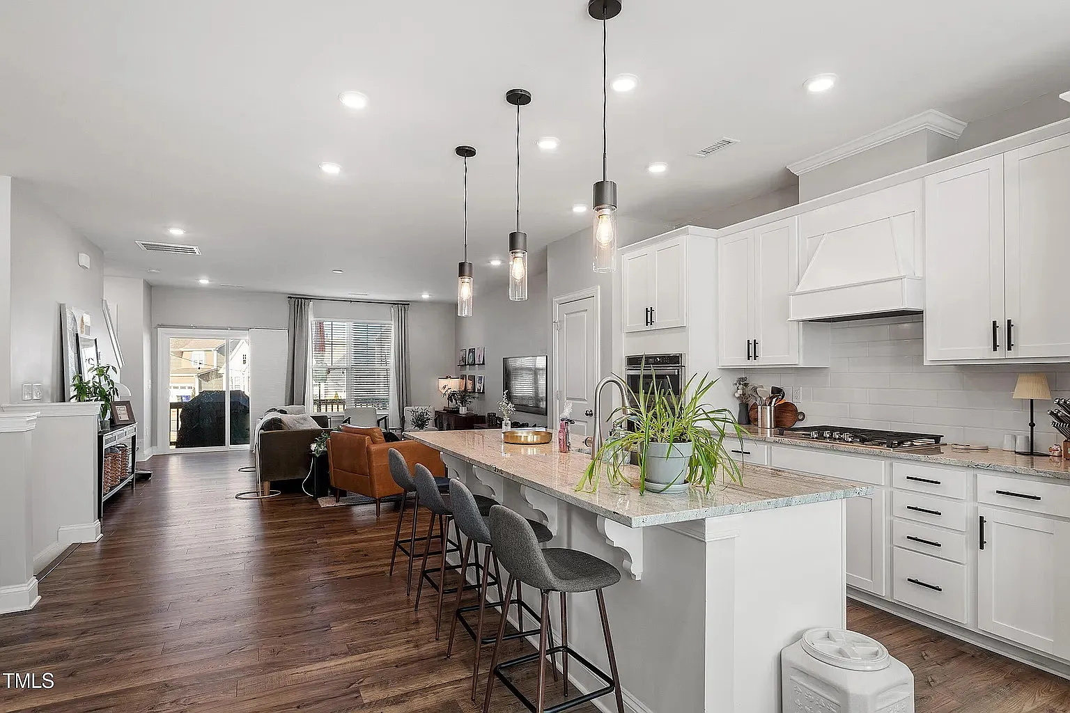 1014 Falling Rock Pl — Photo 3
