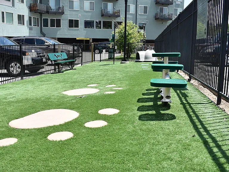 Bark Park