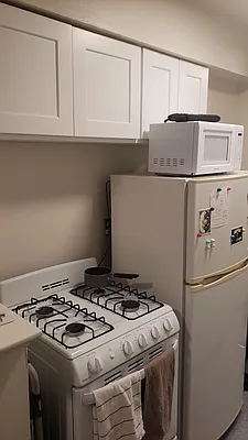 Rented by Old Brooklyn Real Estate Inc | media 13