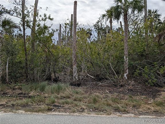 5th image of 1347 S Estuary Dr
