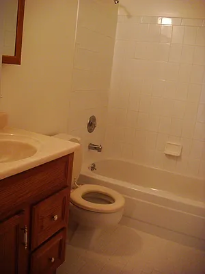 Rented by Avanguard Realty Corp | media 42