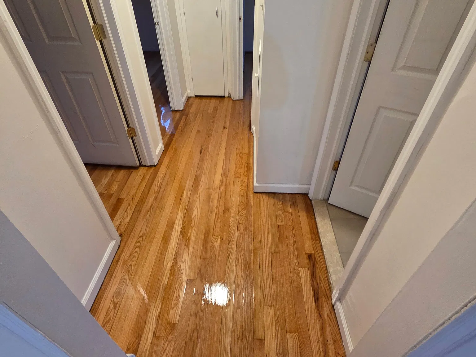 3 bed, 1772 sqft, $2,100 — Photo 1