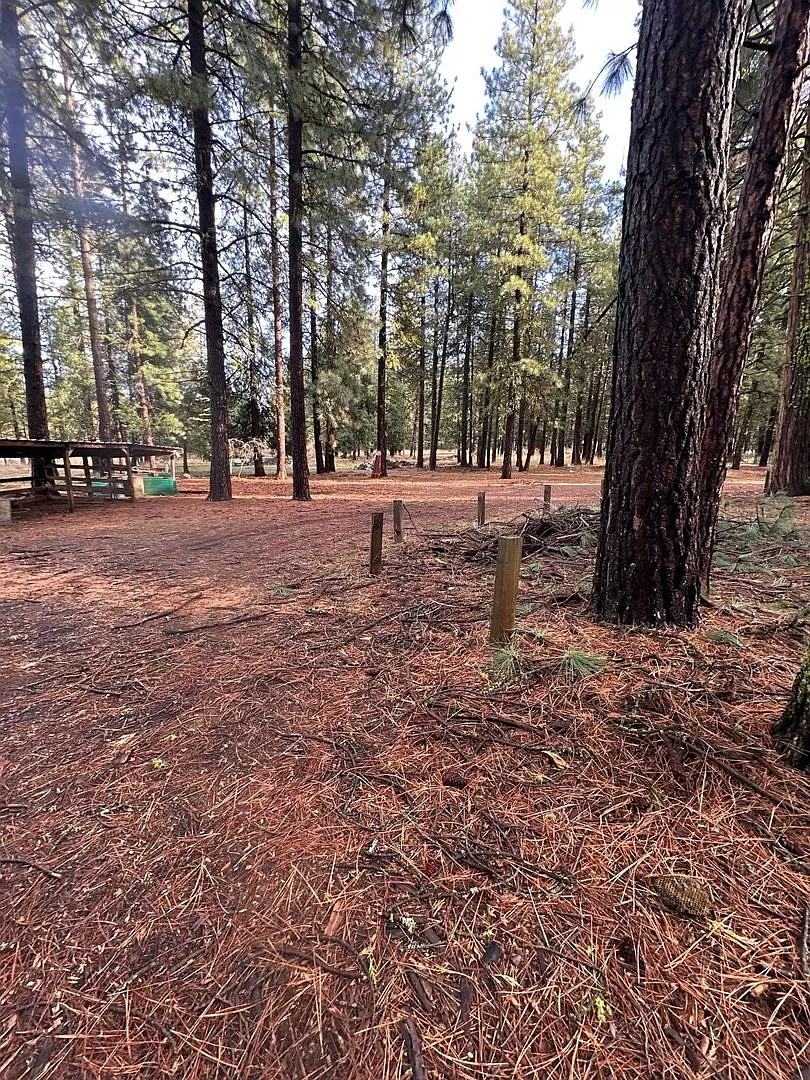 18515 Freight Rd Ln — Photo 2