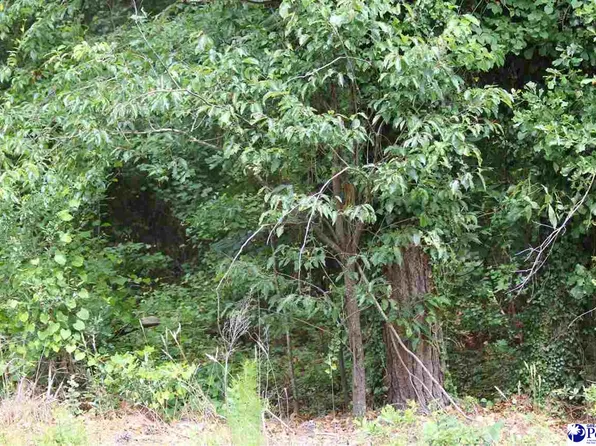 0 Piedmont Dr, Hartsville, SC 29550