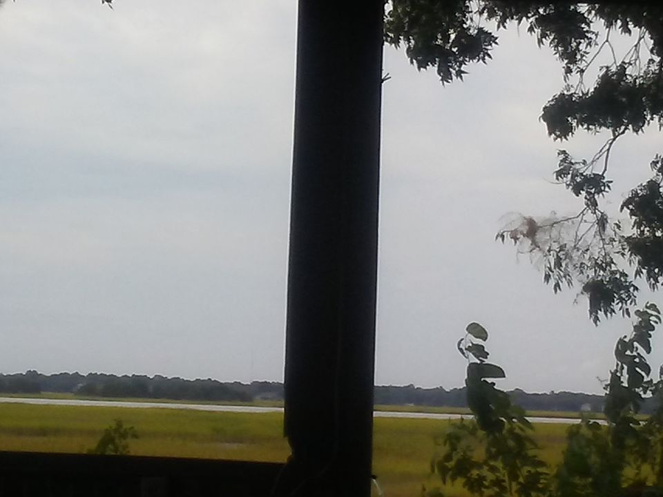 Back yard view.