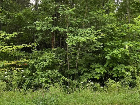 0 Joe Poore Rd, Newland, NC 28657