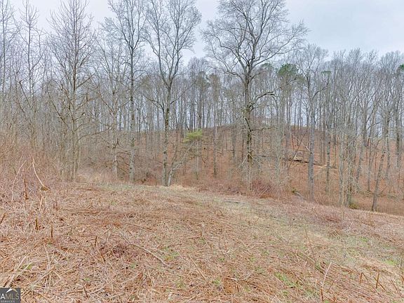 5th image of 0 Hendrix Rd