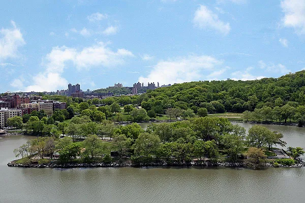 Sold by Douglas Elliman | media 11