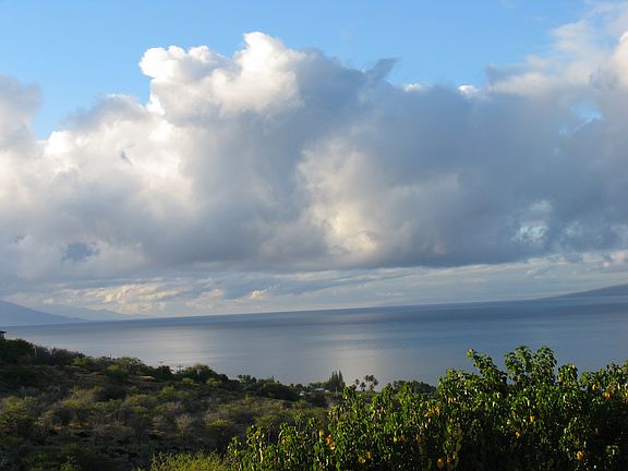 View from living room