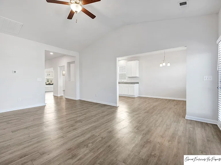 741 Spring Cress Dr — Photo 8