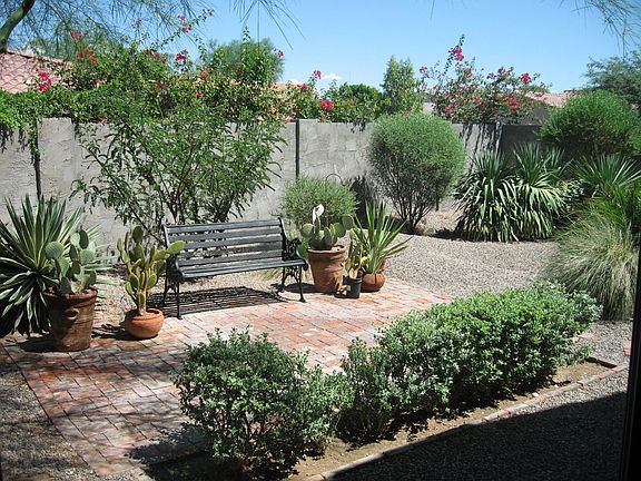 back yard