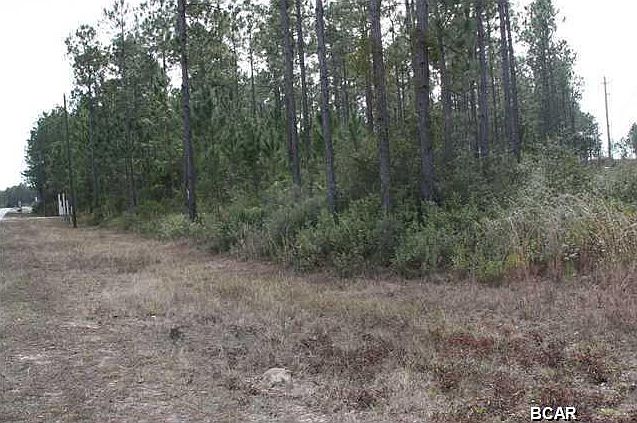 2nd image of 9637 Steel Field Rd
