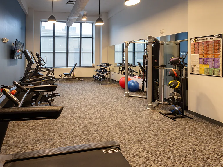 Machine weights and dumbbells
