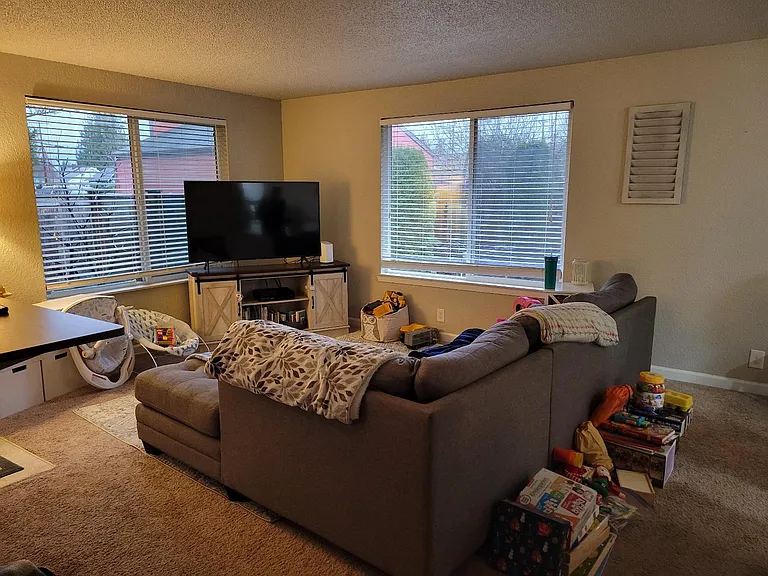Bright living room with custom blinds and two big picture windows.