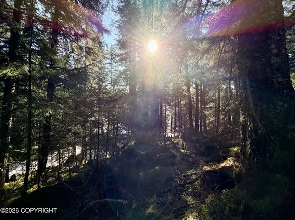 L7-B4 Rosenburg Ln, Seldovia, AK 99663