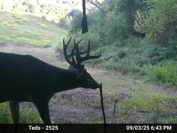 N45211 Franson Rd Roads, Strum, WI 54770