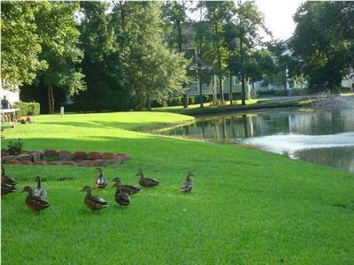 2317 Tall Sail Dr #1004, Charleston, SC, 29414