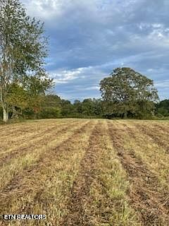 2nd image of 520 Lowe Rd