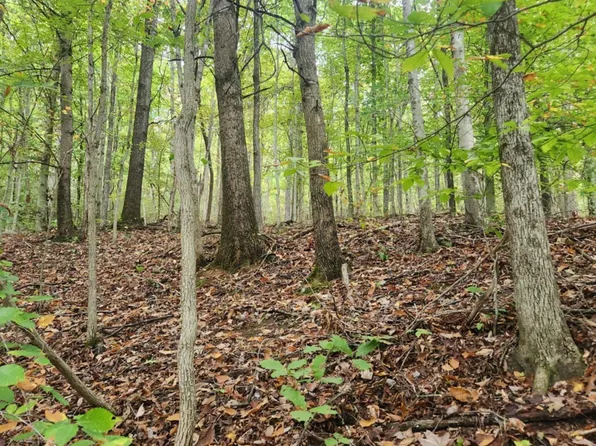 0 State Highway 47w Rd, Coxs Mills, WV 26342