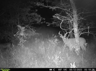 64 Opossum Trot Rd, Bellflower, MO 63333