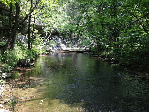 3rd image of 000 Culp Rd