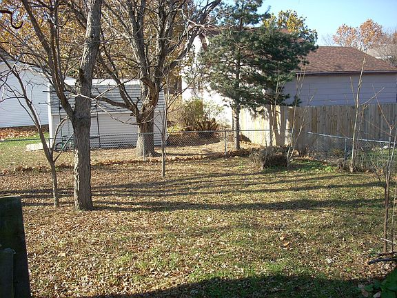 Back yard 