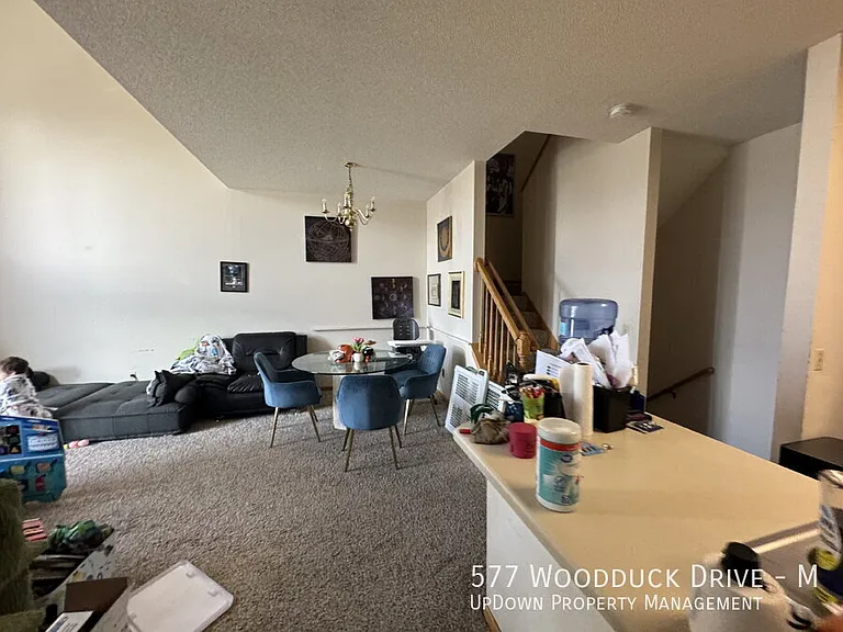577 Woodduck Dr #M — Photo 19