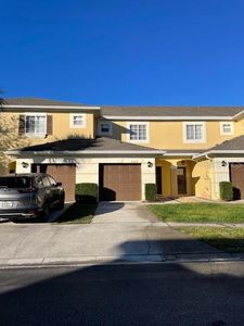 20478 Needletree Dr, Tampa, FL, 33647
