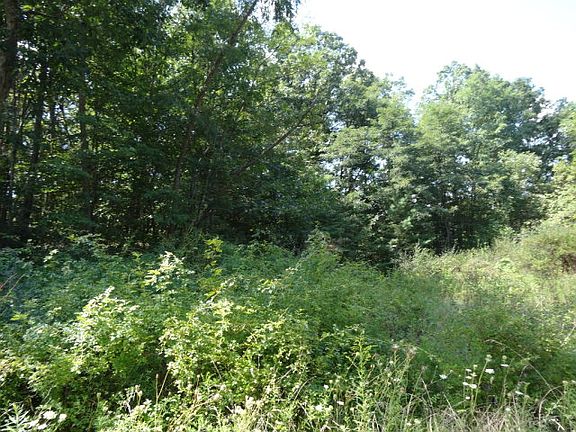 2nd image of Wildwood Ave