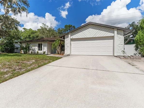 3915 Briarlake Dr, Valrico, FL 33596