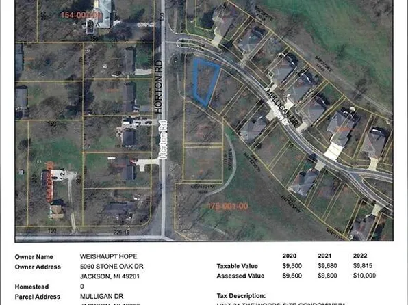 34 Mulligan Dr, Jackson, MI 49203