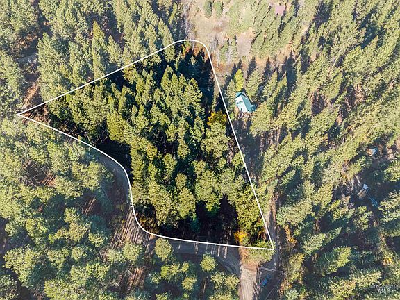 2nd image of 5 Bell Flower