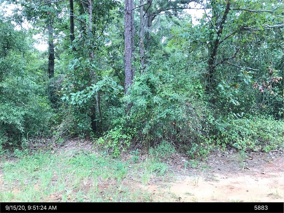 2nd image of 273 Archie Dr