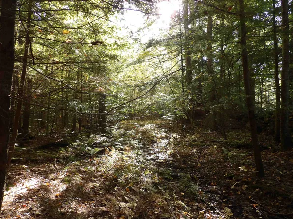 Old Tilton Road, Canterbury, NH 03224