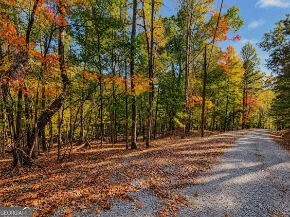 3118 Opal Ln #0, Ellijay, GA 30540