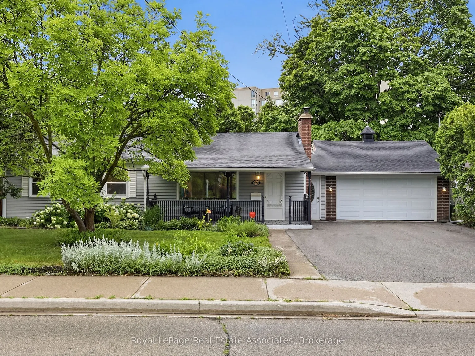 3 bed, $3,850 — Photo 3