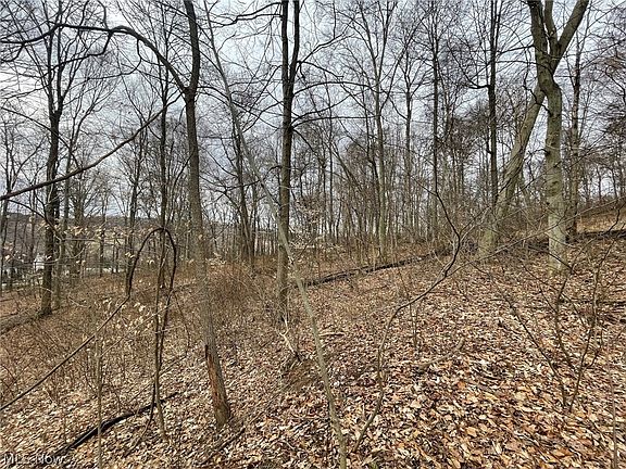 5th image of LOT 32 Private Road 343