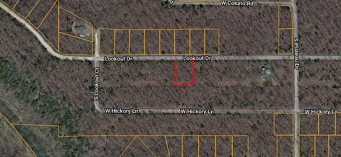 2nd image of 1013 Lookout Dr